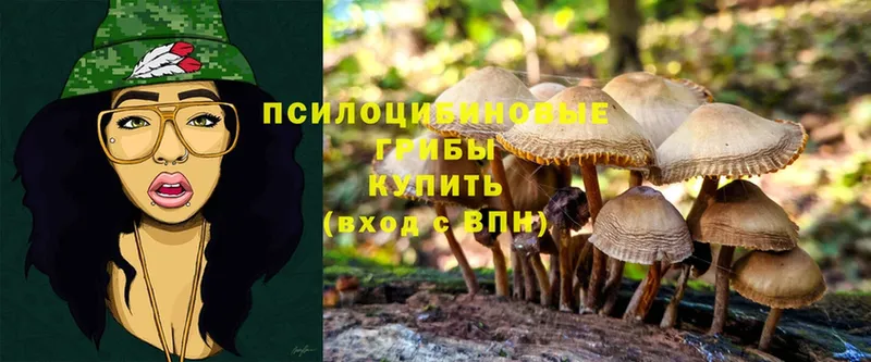 Галлюциногенные грибы Psilocybine cubensis  где купить   Вышний Волочёк 